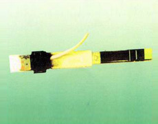 ����ĸ��ϵ��